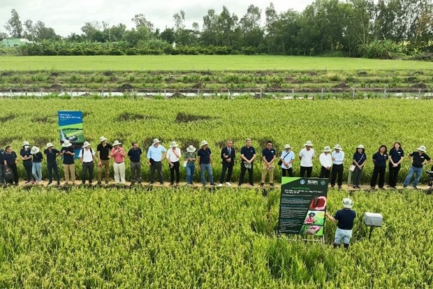 Southeast Asia’s first Bayer ForwardFarm launched in Vietnam